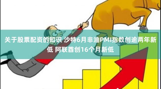 关于股票配资的知识 沙特6月非油PMI指数创逾两年新低 阿联酋创16个月新低