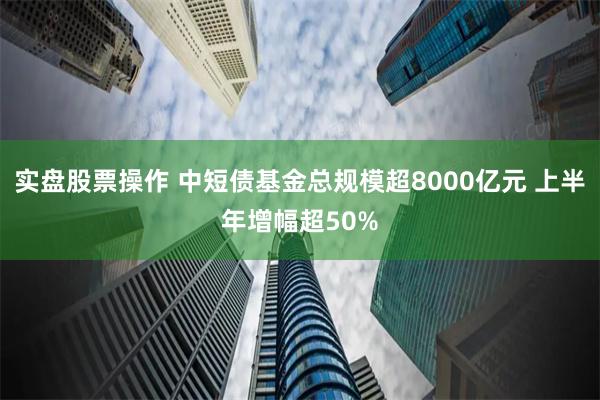 实盘股票操作 中短债基金总规模超8000亿元 上半年增幅超50%