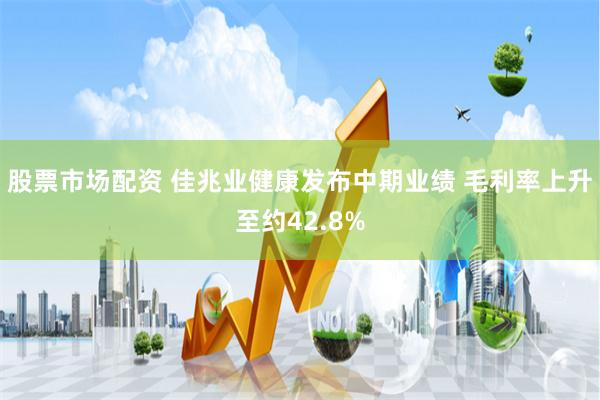 股票市场配资 佳兆业健康发布中期业绩 毛利率上升至约42.8%