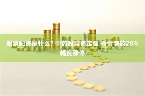 股票配资是什么? 中药股震荡走强 香雪制药20%幅度涨停