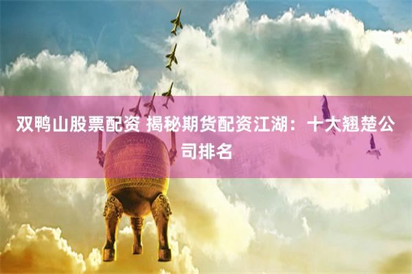 双鸭山股票配资 揭秘期货配资江湖：十大翘楚公司排名